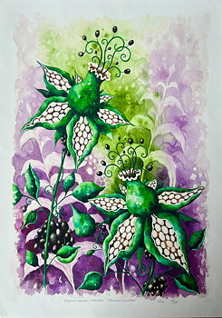 Fine Art Print - Trollbärsblomster 