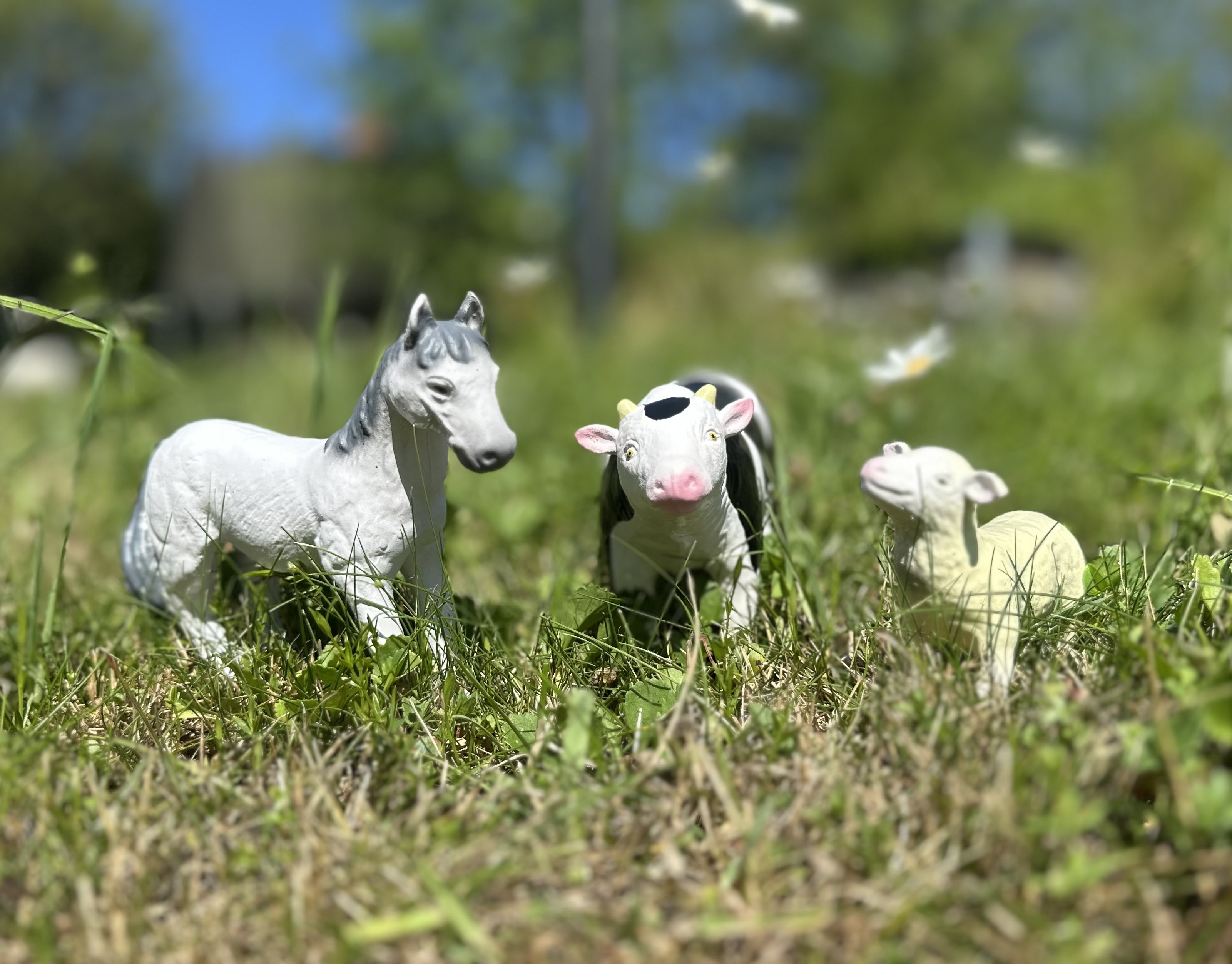 Bondgårdsdjur i naturgummi