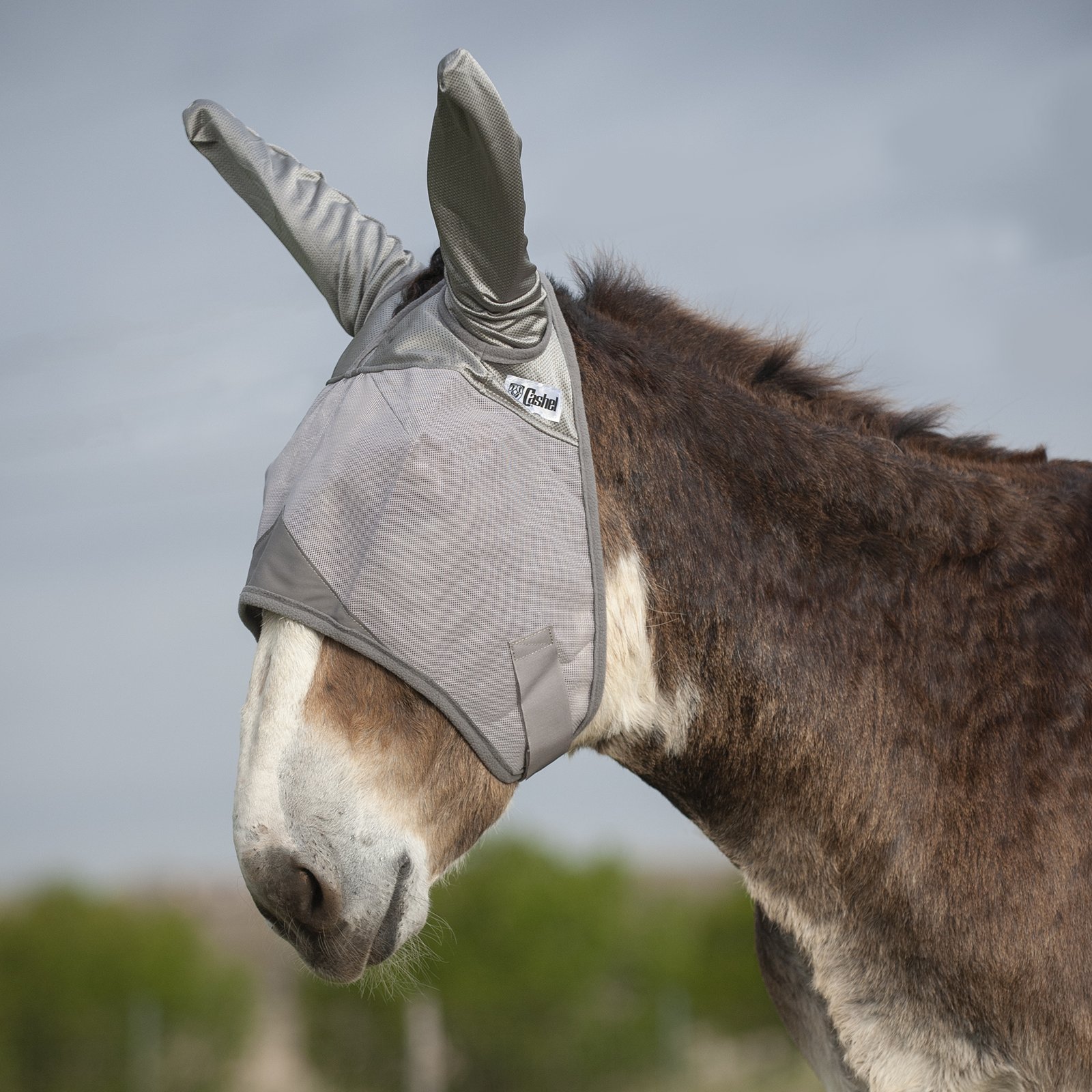 Cashel© Crusaders™ Fly Mask with ears, mules and donkeys - 4