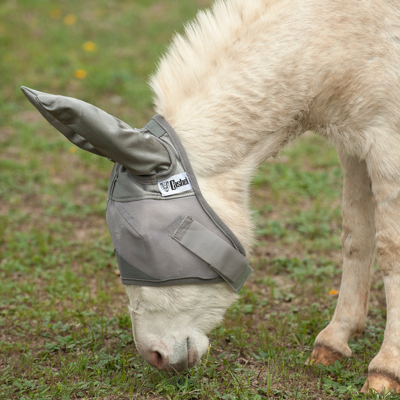 Cashel© Crusaders™ Fly Mask with ears, mules and donkeys - 8