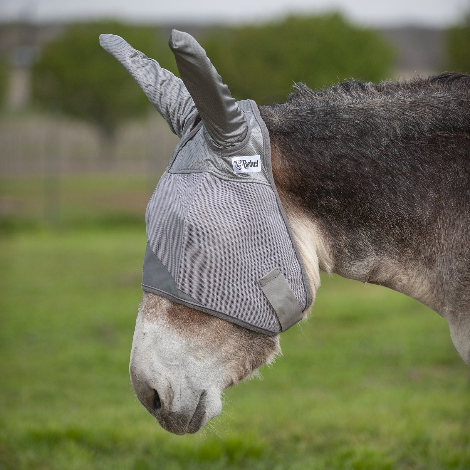 Cashel© Crusaders™ Fly Mask with ears, mules and donkeys - 5