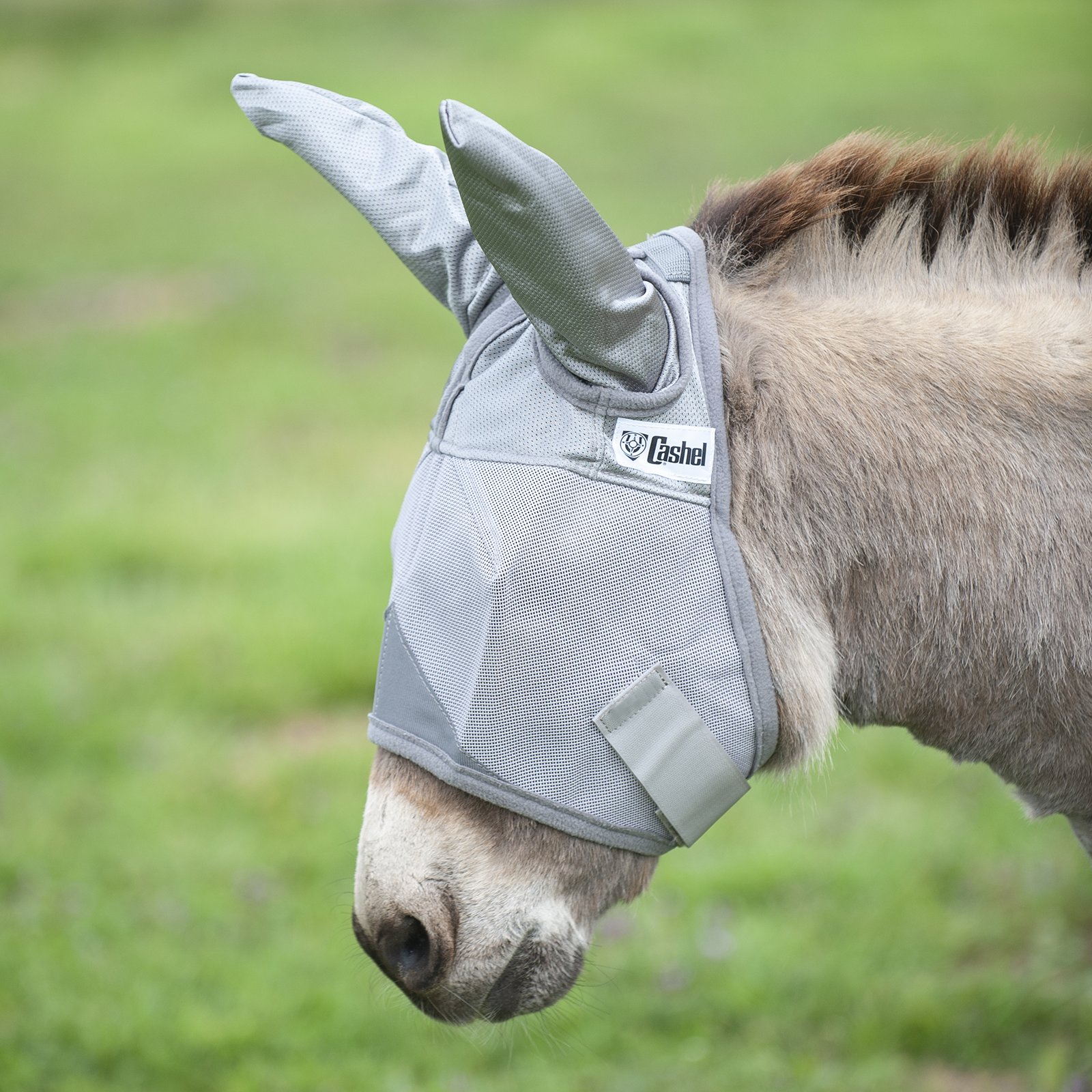 Cashel© Crusaders™ Fly Mask with ears, mules and donkeys - 6