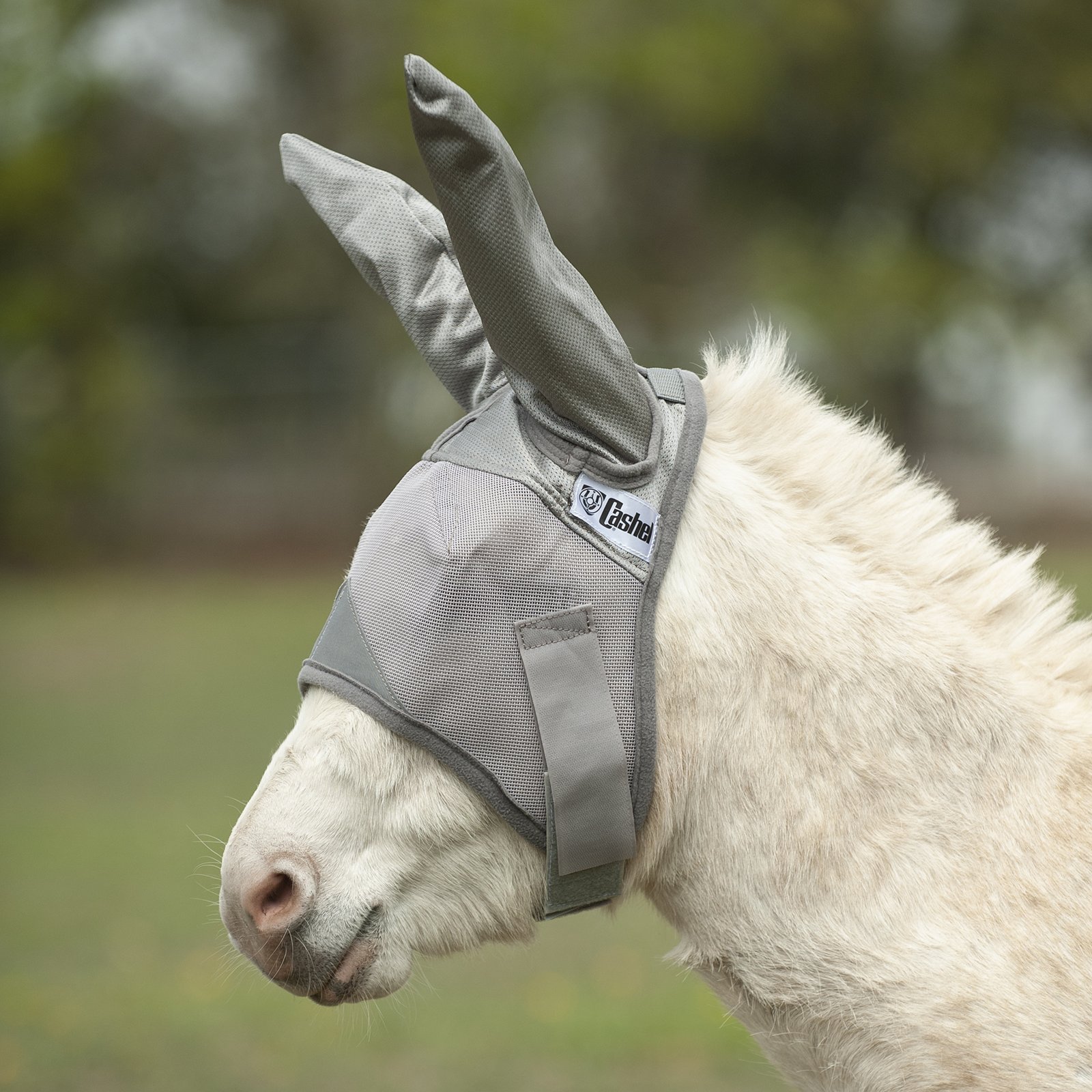 Cashel© Crusaders™ Fly Mask with ears, mules and donkeys - 2
