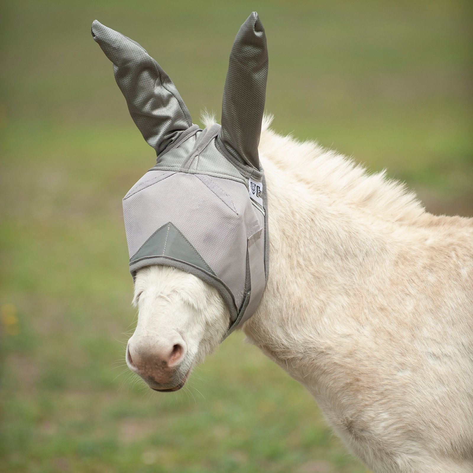 Cashel© Crusaders™ Fly Mask with ears, mules and donkeys - 9