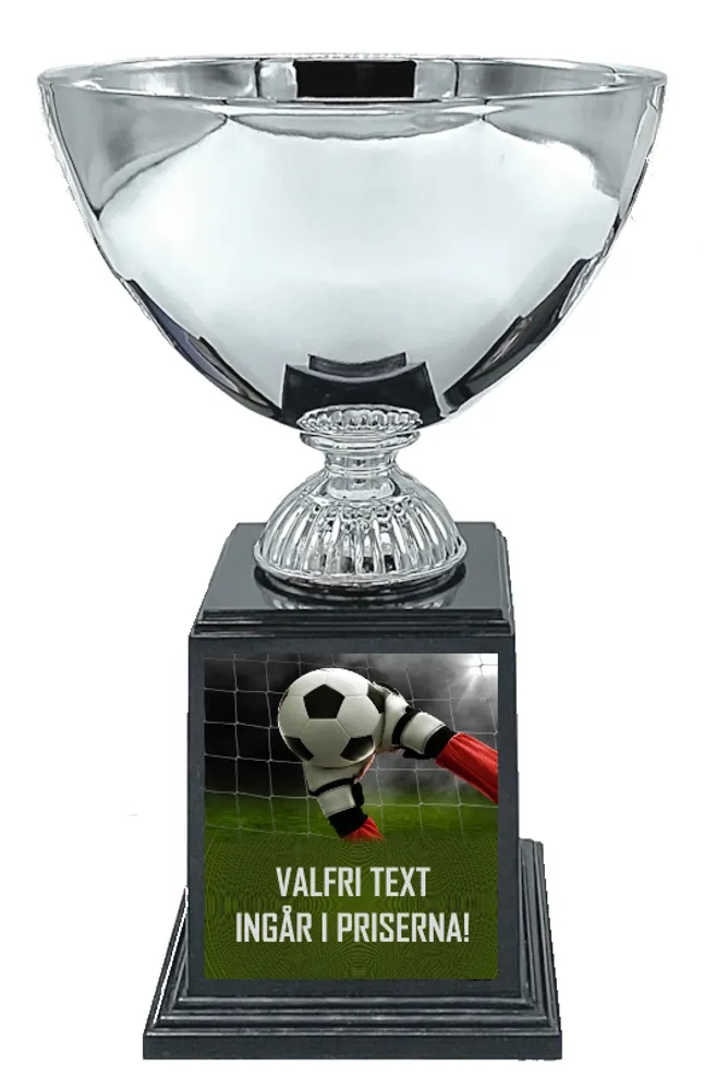 Fotball Deluxe - Målvakt - 2
