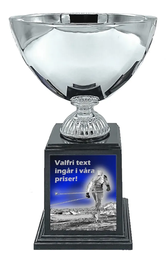 Vintersport Deluxe - Langrenn - 2
