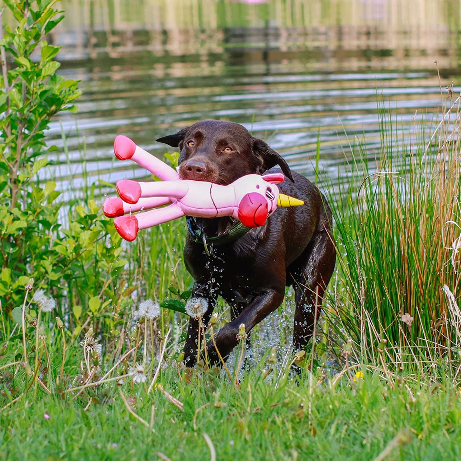 Hundleksak flytande enhörning XL - 2