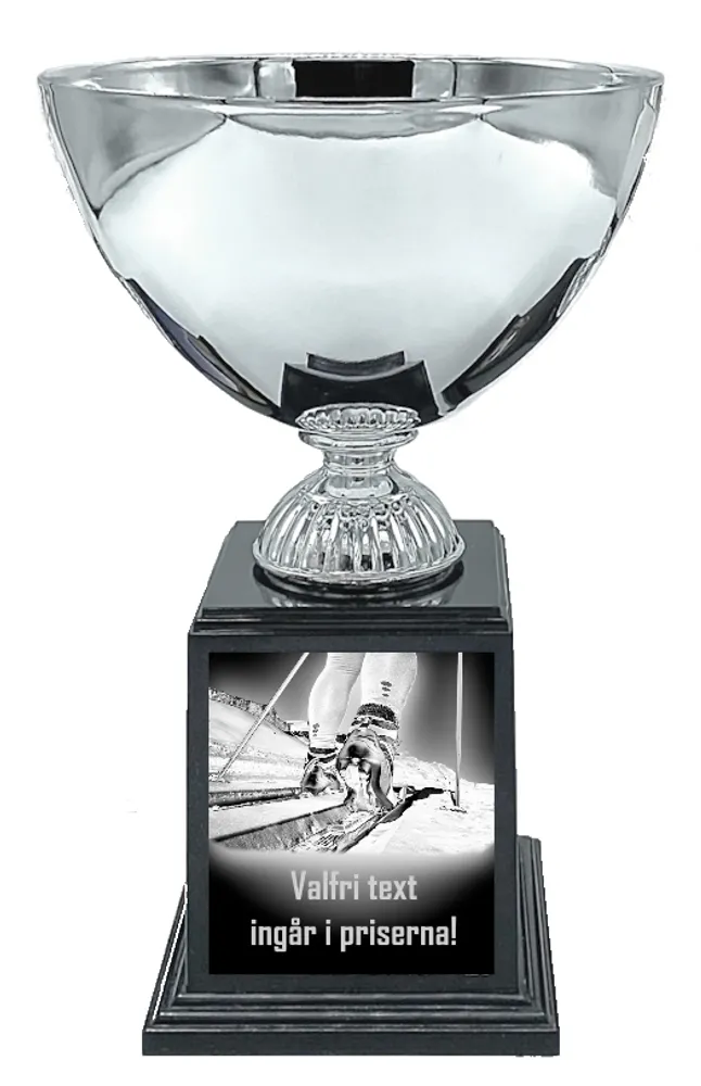 Vintersport Deluxe - Langrenn 2 - 2