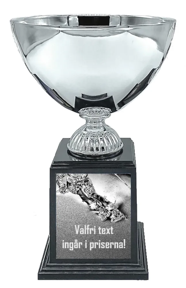 Vintersport Deluxe - Alpint - 2