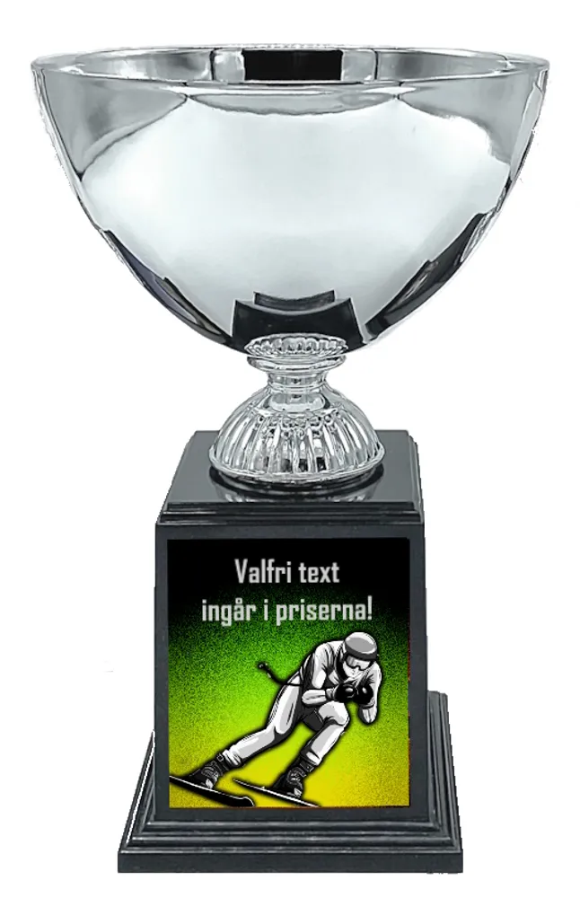 Vintersport Deluxe - Utfor/Super-G - 2