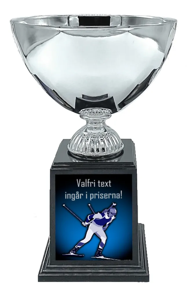 Vintersport Deluxe - Skiskyting - 2