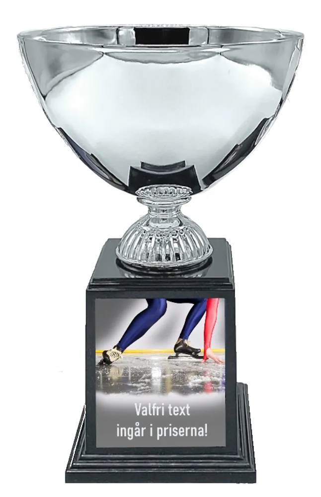 Vintersport Deluxe - Skøyter - 2