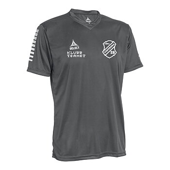 Select Pisa T-shirt  (Vintrosa IS)