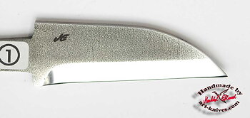 B7BM svamp blad