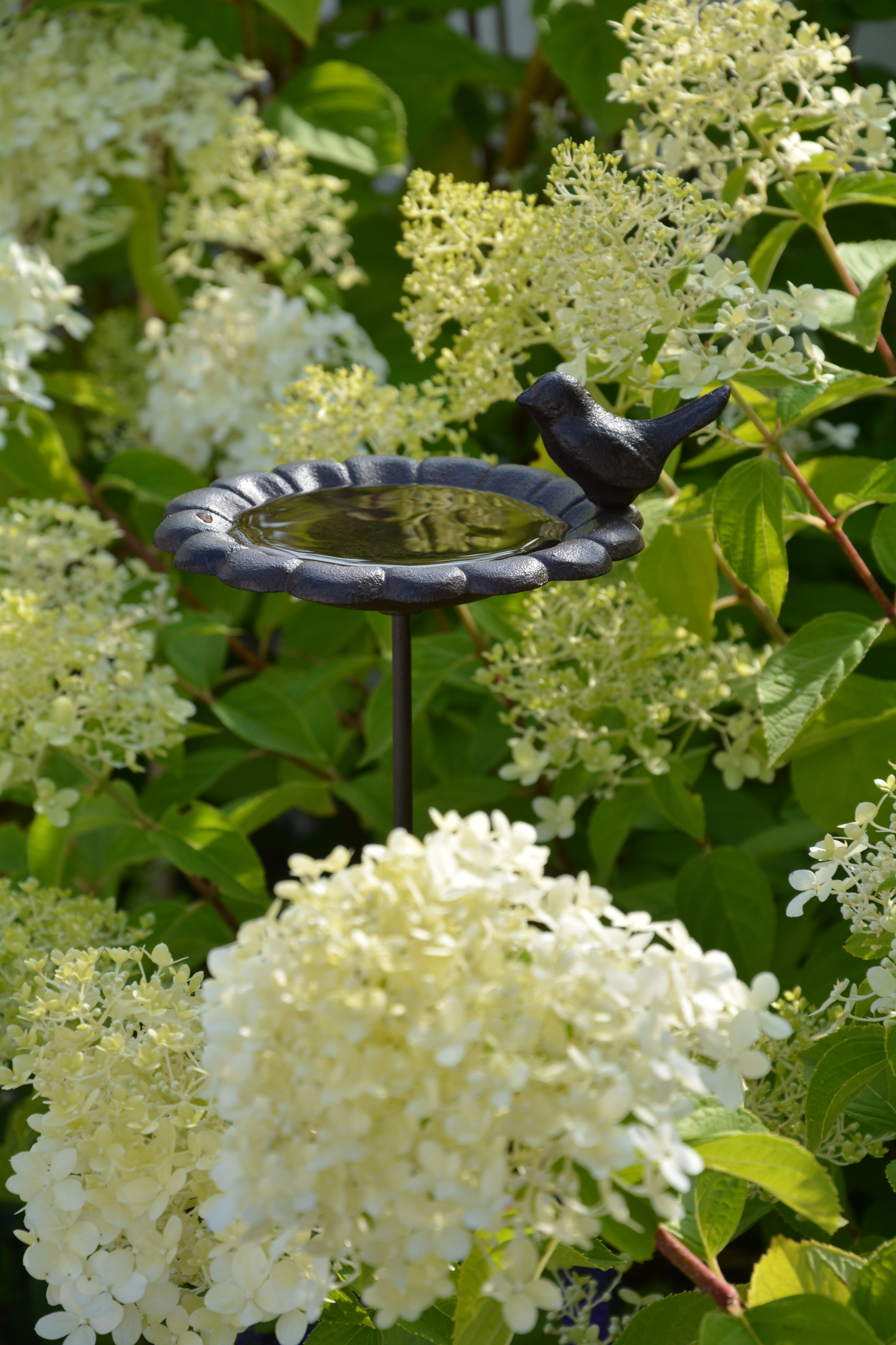 Fågelbad i gjutjärn med fågel på blomma 78 cm - 4