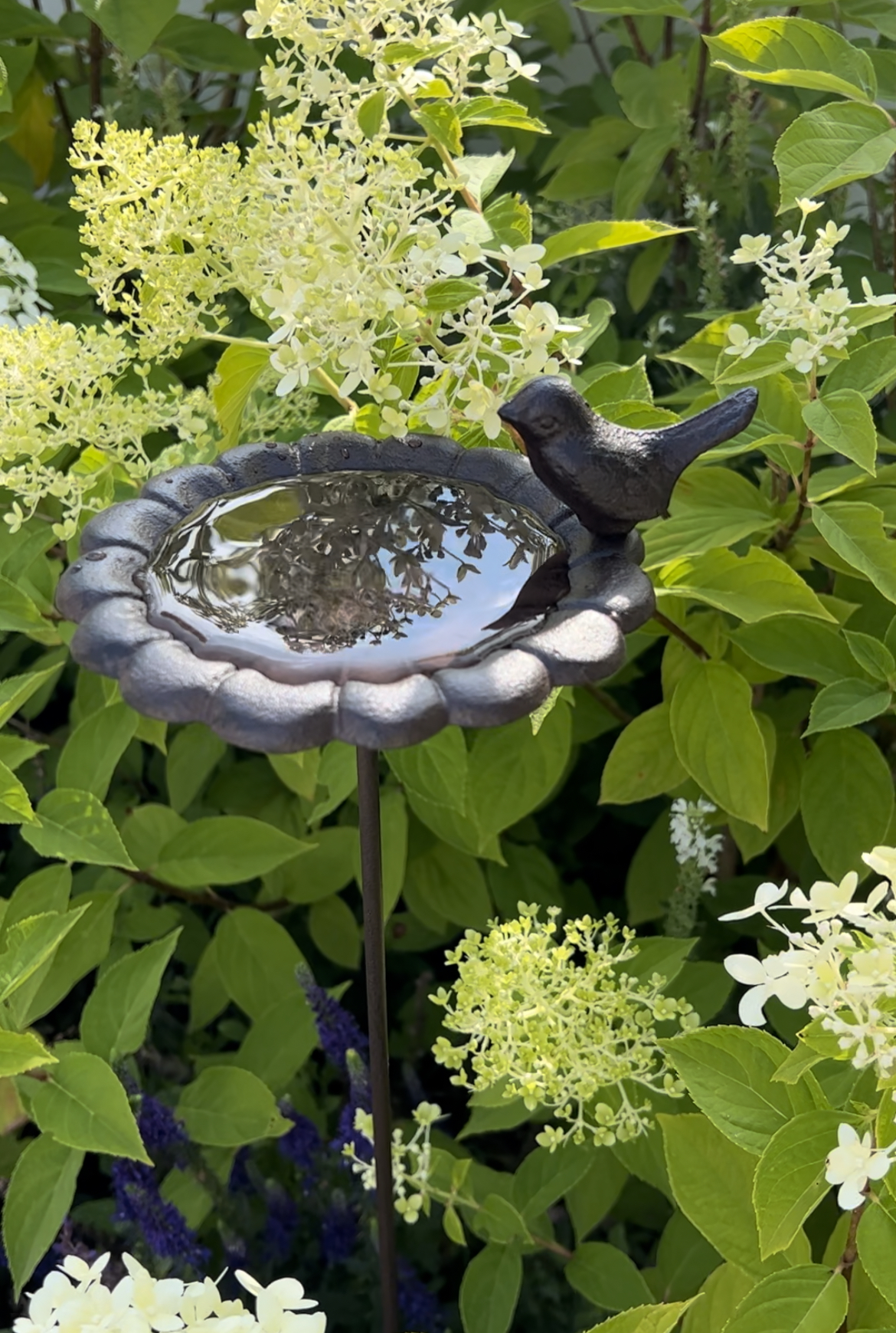Fågelbad i gjutjärn med fågel på blomma 78 cm