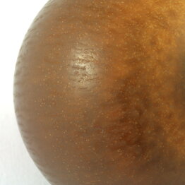 Berndt Friberg (1960s) Unique Brown Haresfur Vase 4 cm