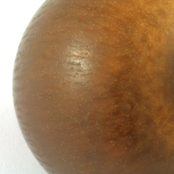 Berndt Friberg (1960s) Unique Brown Haresfur Vase 4 cm