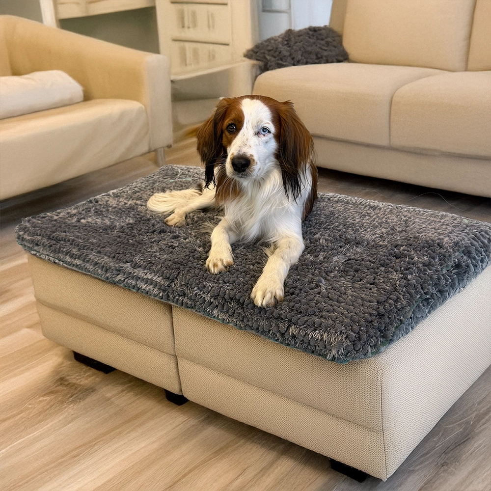 Royal dry pillow mjuk dyna till hunden fukt väta och smuts