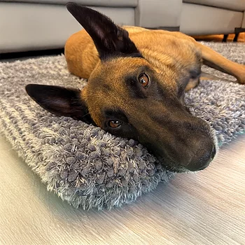 Royal dry pillow like the doormat but thicker