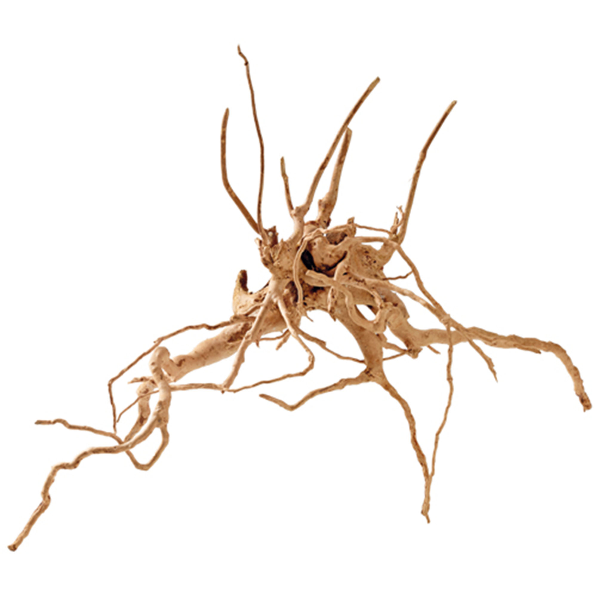 Hobby Fingerwood S 20-30cm