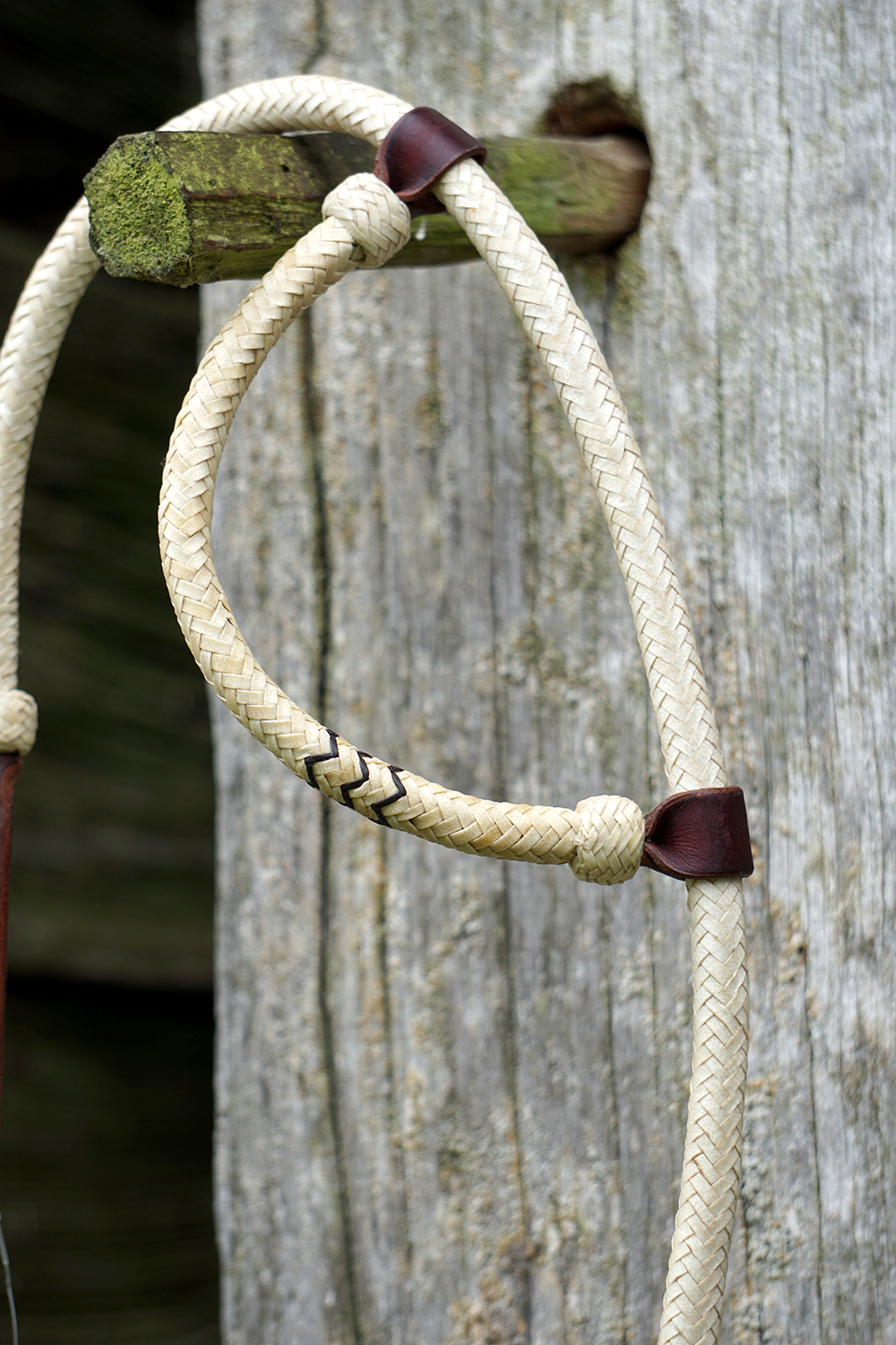 Cashel Rawhide Braided Headstall with Browned Iron Buckle - 3