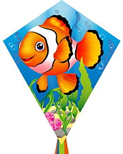 Eddy Ecoline Clownfish