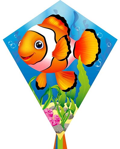 Eddy Ecoline Clownfish