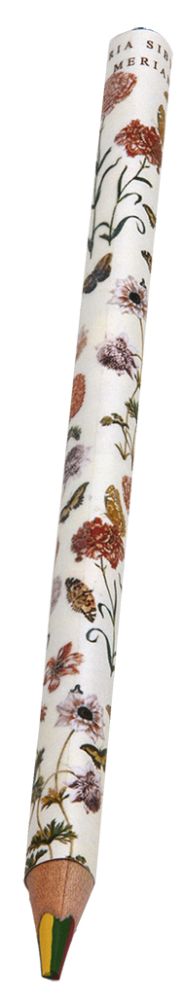 Blyant med regnbuestift, Maria Sibylla Merian 