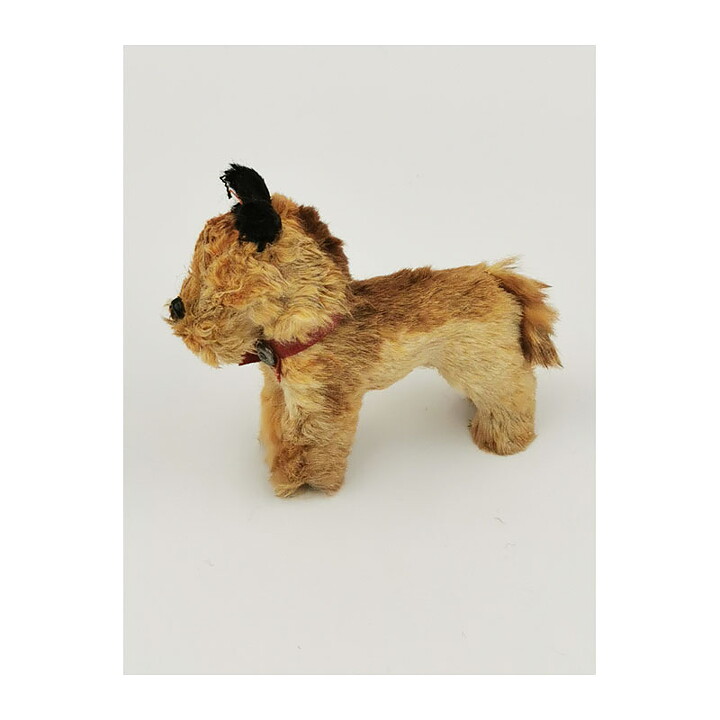 Keräilyesine Second Hand Steiff Terry (skotlanninterrieri) 1950-luku