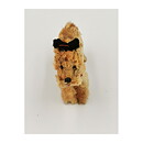 Collectibles Second Hand Steiff Terry (Scottish Terrier) 1950s