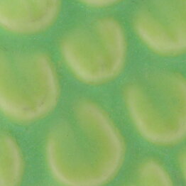 Stig Lindberg (1967) Unique Miniature Button with Green Glaze 3 cm