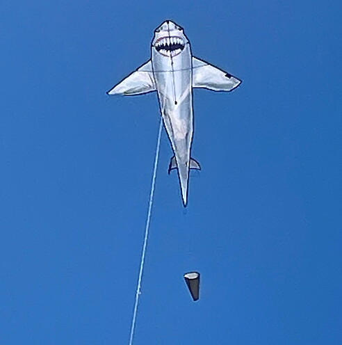 Great White Shark