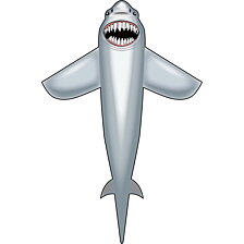 Great White Shark