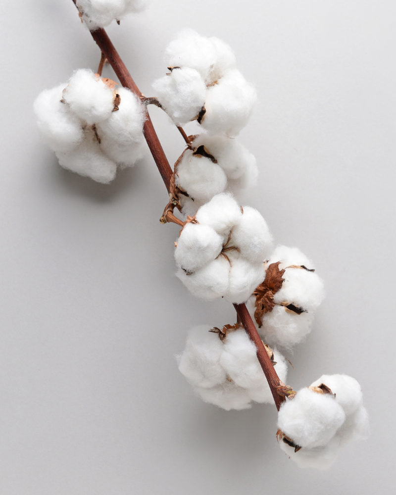 REFILL WHITE PEARLS - 3