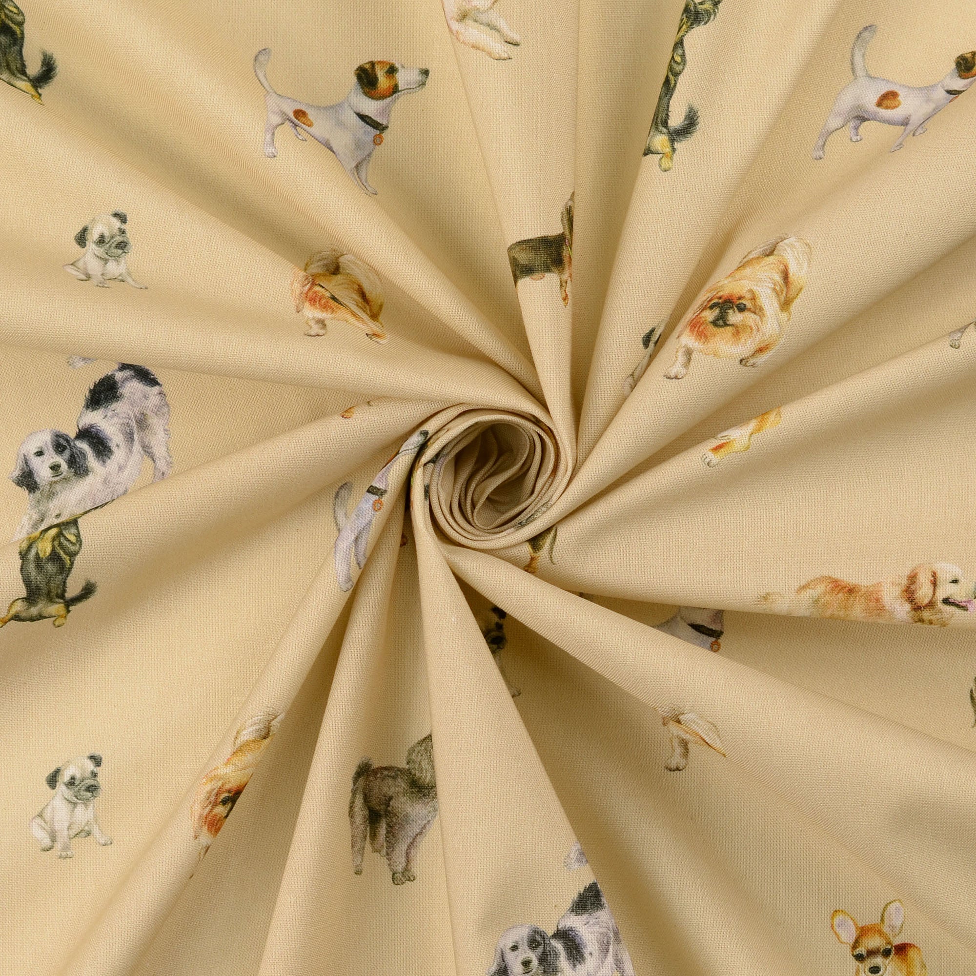 Poplin Hundar - 2