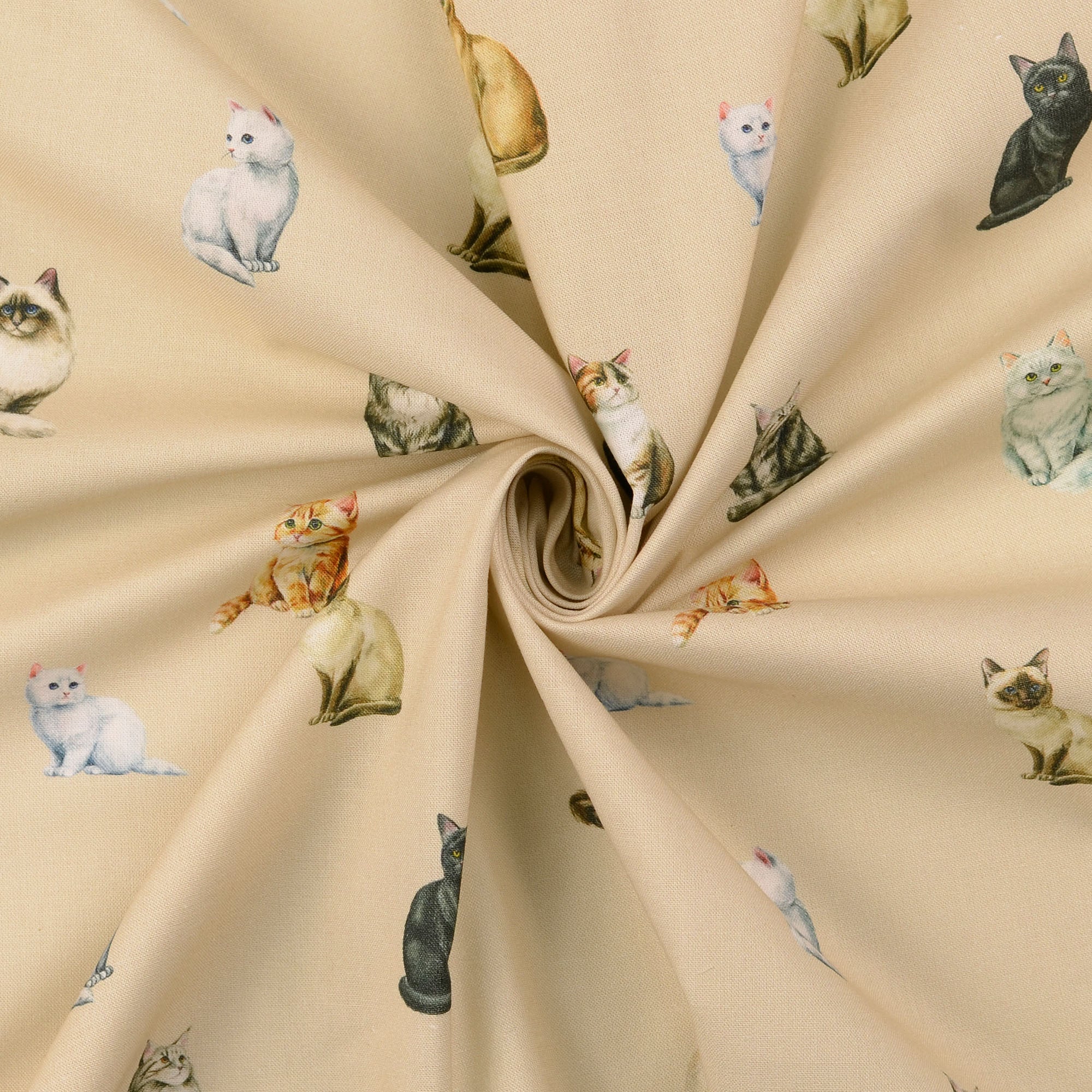 Poplin Katter - 2