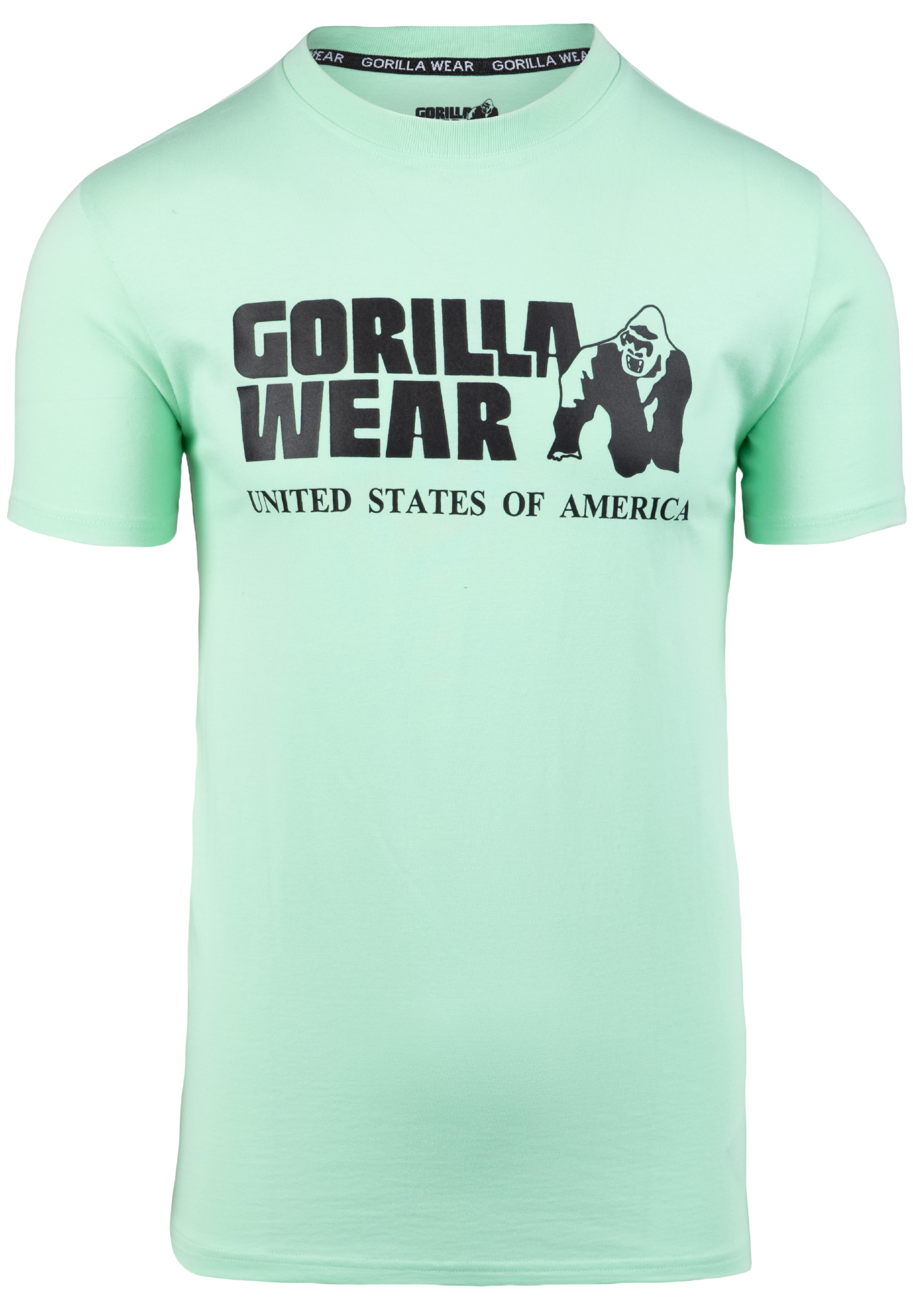 Classic T-Shirt, mint