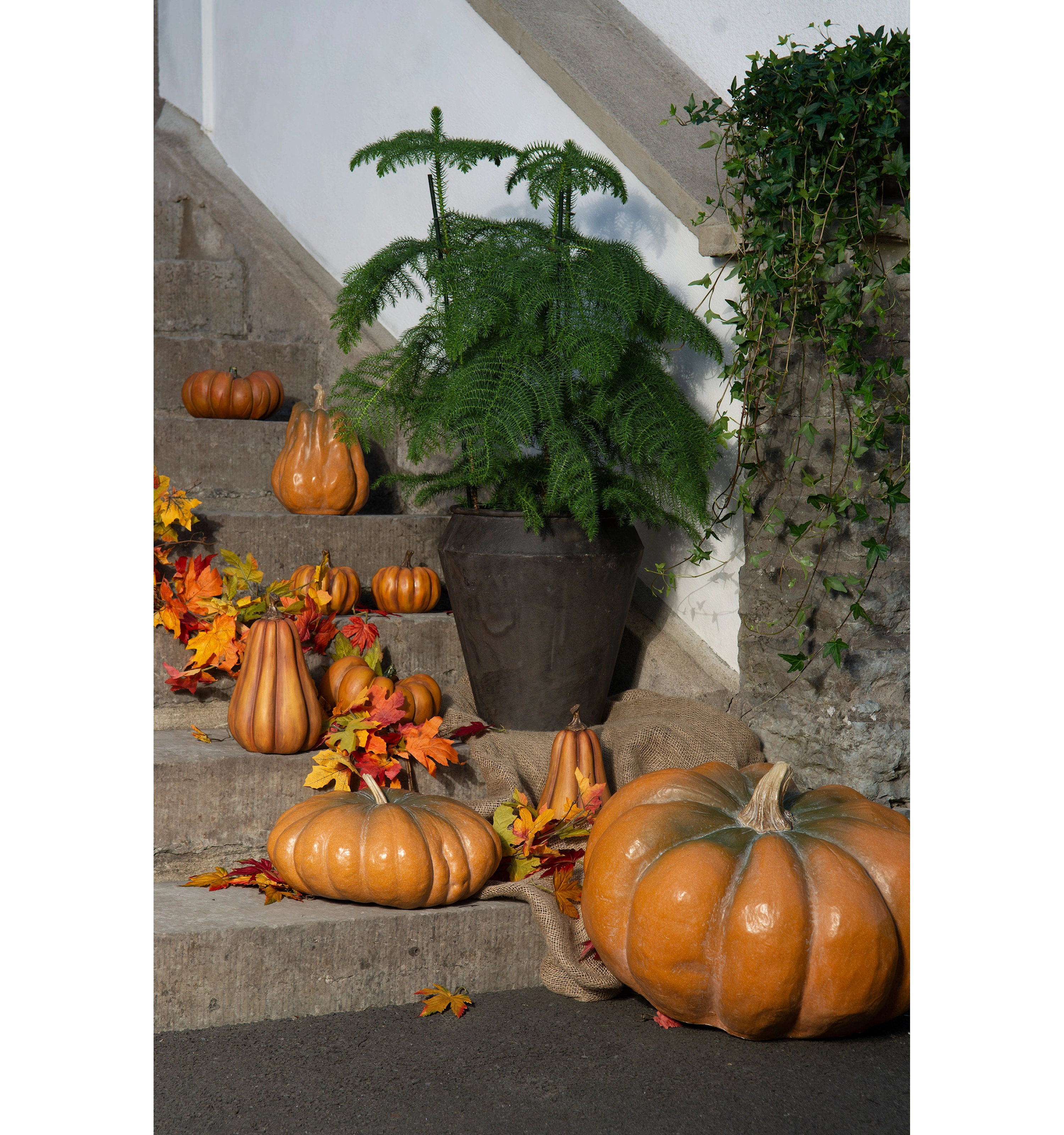 Pumpa Orange 20 cm - 4
