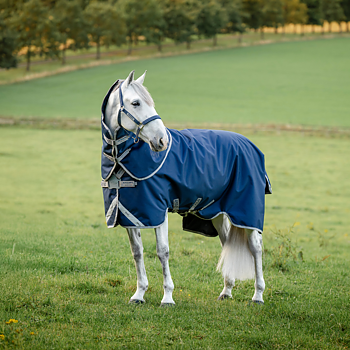 AMIGO BRAVO 12 FIELDSAFE PLUS TURNOUT 50GR (DISC-FRONT)