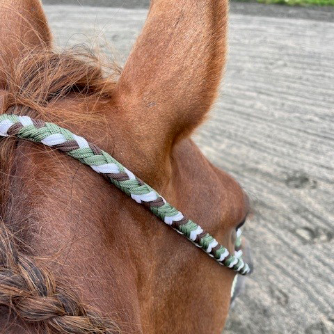 All That Looping Hackamore - 3