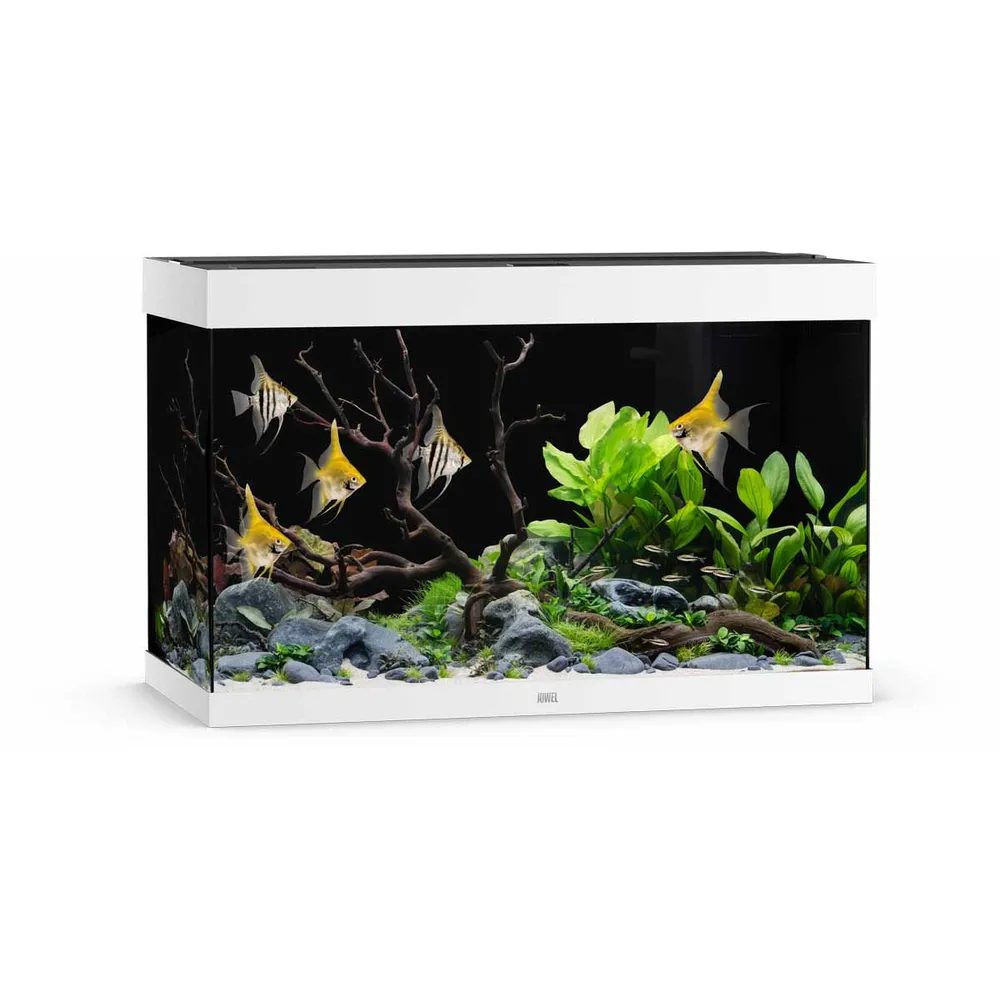 Juwel Rio 290 Akvarium LxBxH: 101x51x66cm 290 liter - 3