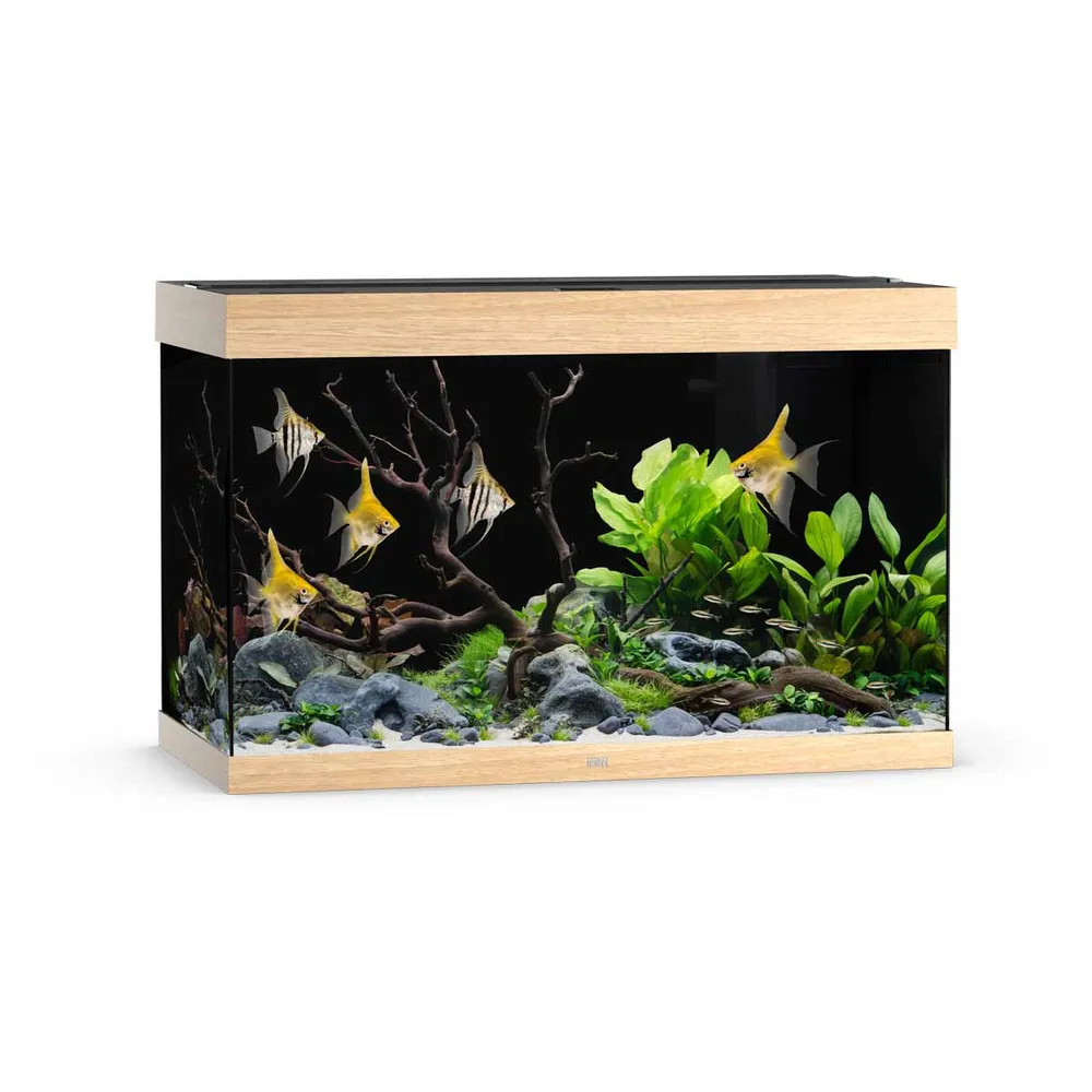 Juwel Rio 290 Akvarium LxBxH: 101x51x66cm 290 liter - 2