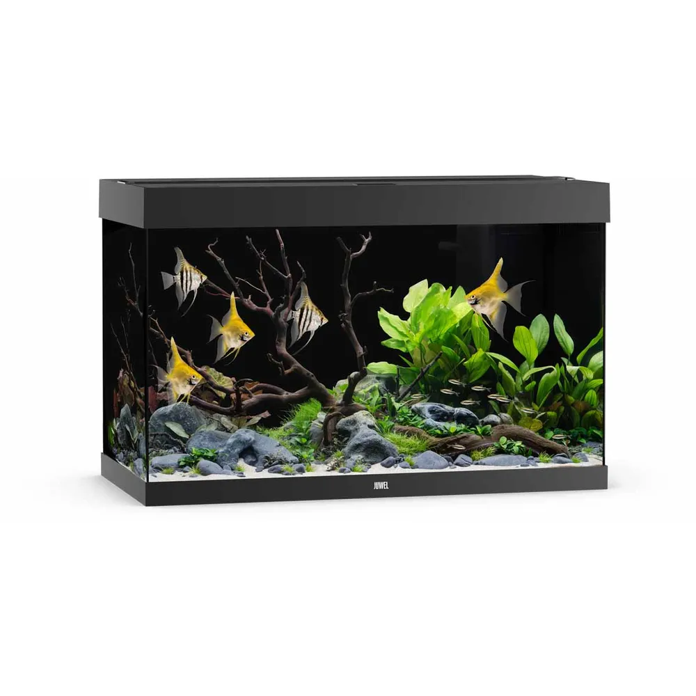 Juwel Rio 290 Akvarium LxBxH: 101x51x66cm 290 liter