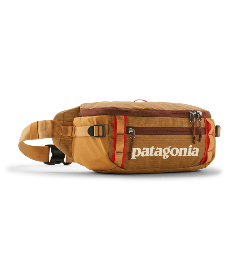 Patagonia Black Hole Waist Pack 5L - Talon Gold