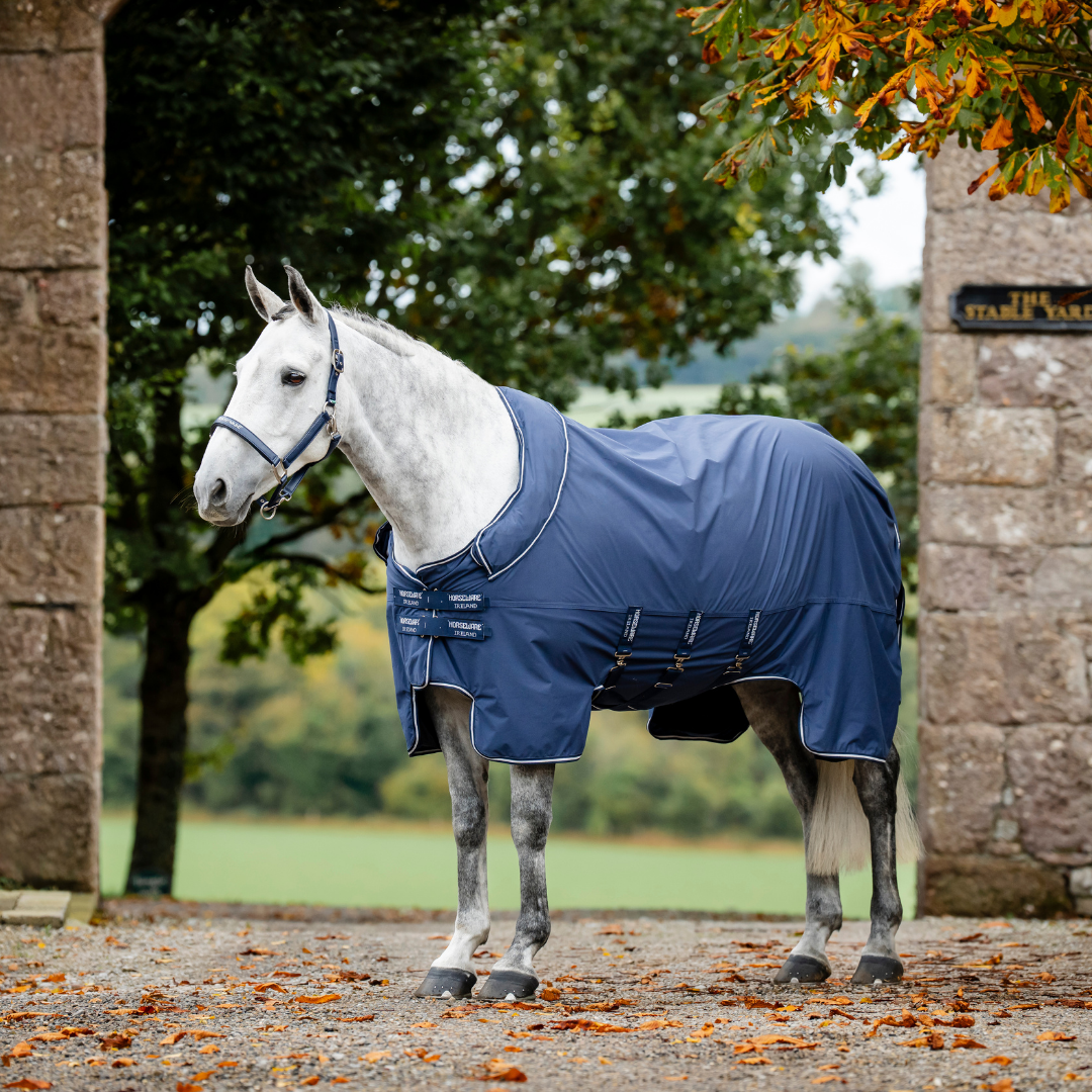 HORSEWARE SHOW READY RUG  - 3
