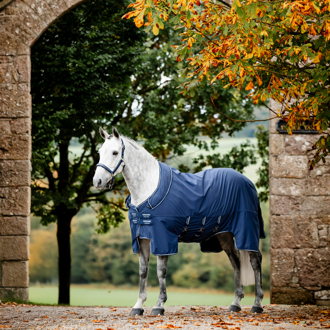 HORSEWARE SHOW READY RUG  - 14