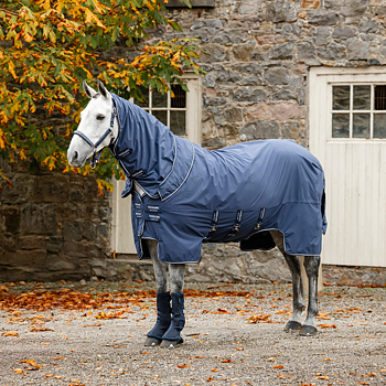 HORSEWARE SHOW READY RUG 