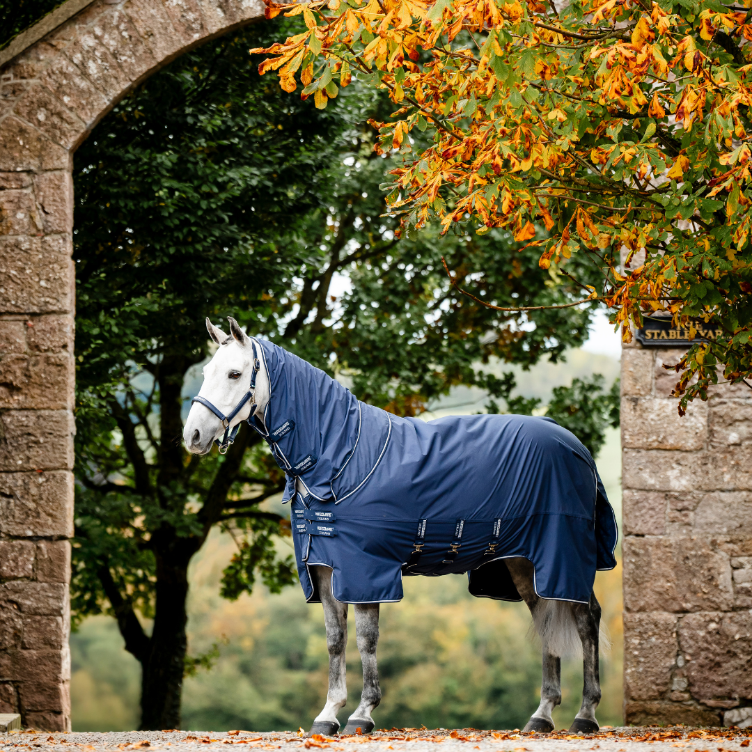 HORSEWARE SHOW READY RUG  - 13