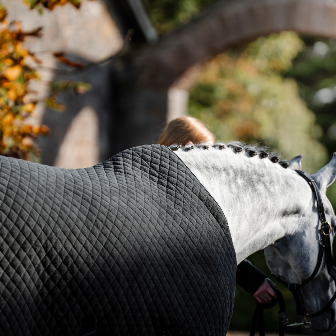 HORSEWARE THERMAL COOLER - 2